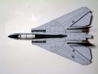 F-14 TOM CAT -1