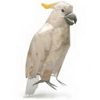 COCKATOO