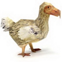 DODO