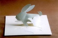 POP-UP HARE