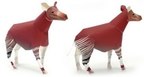 Okapi 非洲鹿