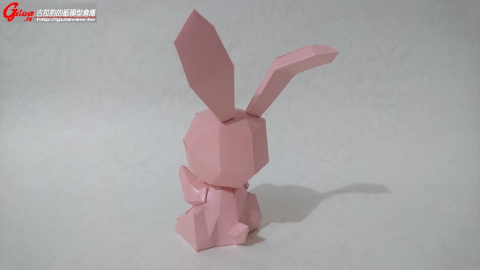兔子 (3).JPG