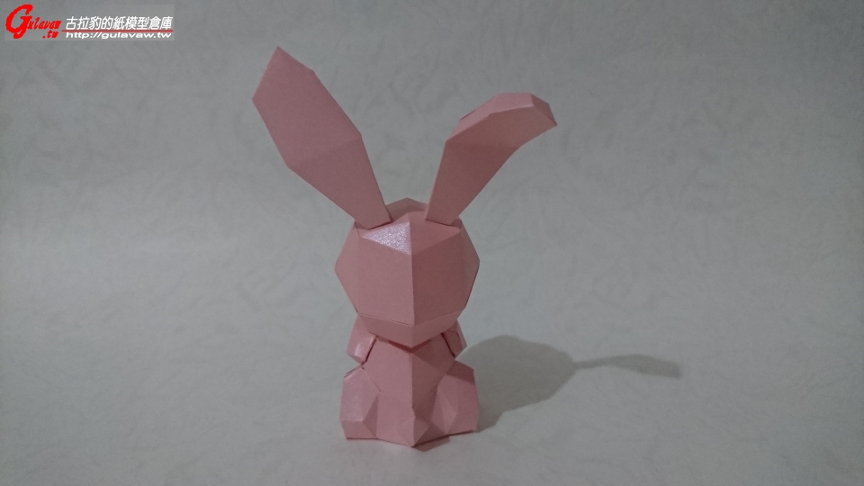 兔子 (4).JPG
