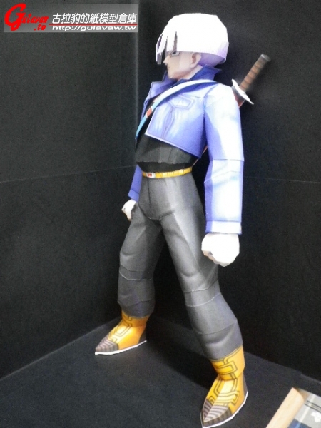 Trunks_21.JPG