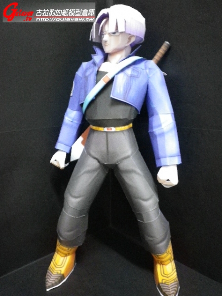 Trunks_22.JPG