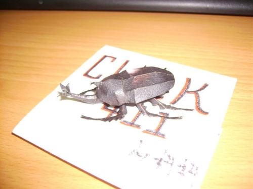 Beetles_1.JPG