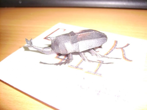 Beetles_2.JPG