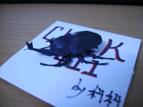 Beetles_3.JPG