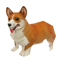 pet-corgi/潘布鲁克威爾斯柯基犬